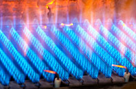 Dolgerdd gas fired boilers